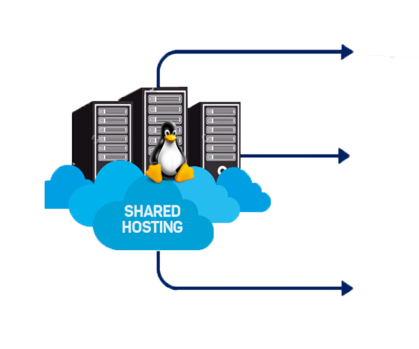 Nvme SSD Hosting in Bangladesh – Blazing Fast Shared Hosting with Hostrare
